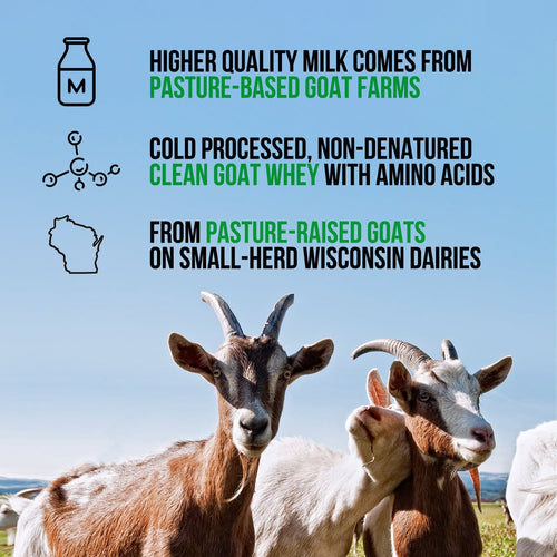 Chocolate Goat Whey Protein Powder - Chocolate