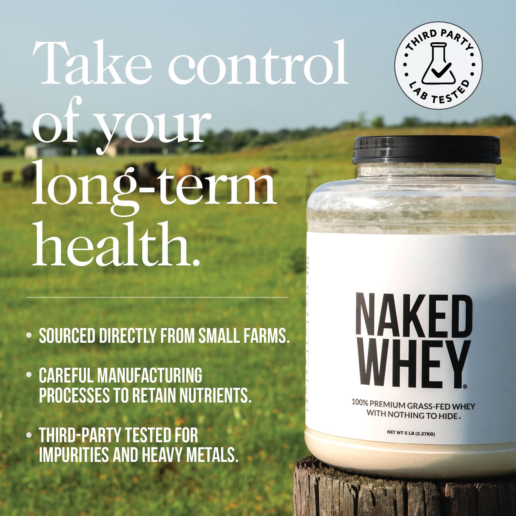 Grass Fed Whey Protein Powder - Unflavored
